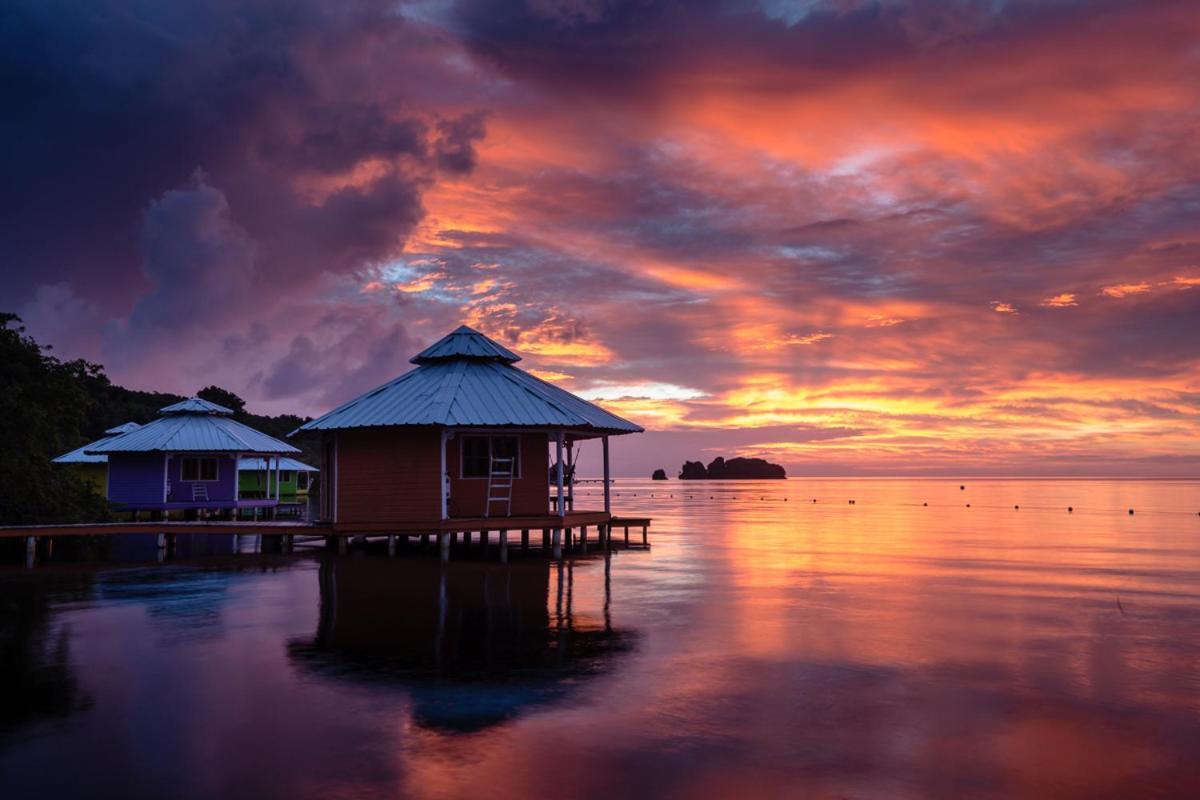 Mango Creek Lodge Port Royal ภายนอก รูปภาพ