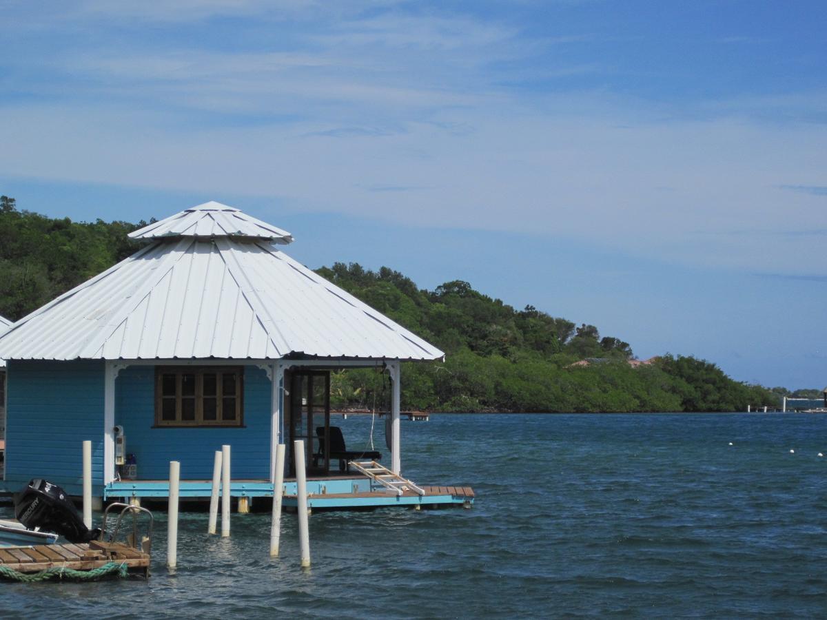 Mango Creek Lodge Port Royal ภายนอก รูปภาพ